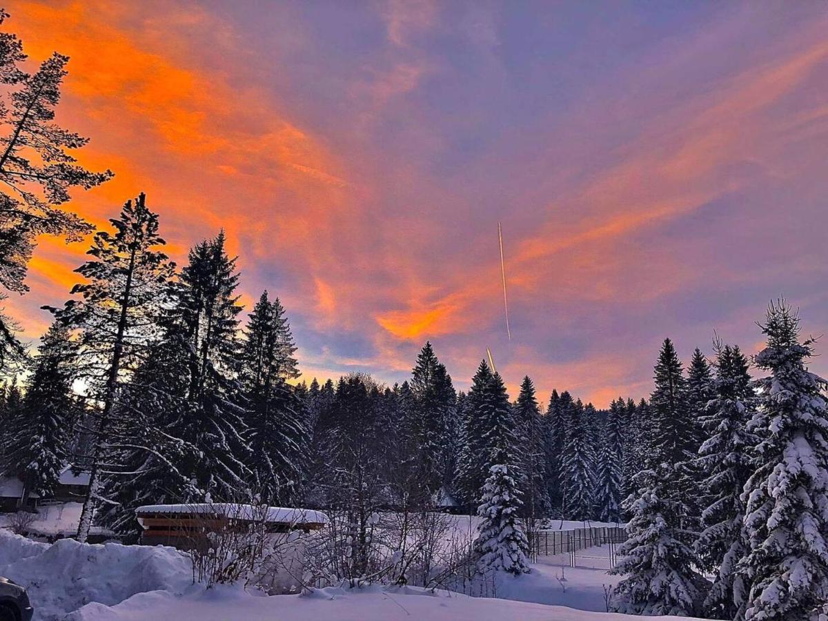 Dren Chalet Lux - Banjska Stena Перучац Екстериор снимка